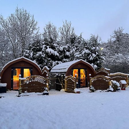 Conifer Cabins Φορτ Γουίλιαμ Εξωτερικό φωτογραφία