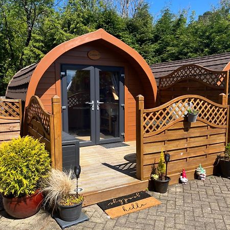 Conifer Cabins Φορτ Γουίλιαμ Εξωτερικό φωτογραφία