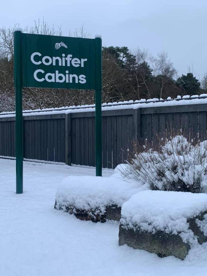 Conifer Cabins Φορτ Γουίλιαμ Εξωτερικό φωτογραφία
