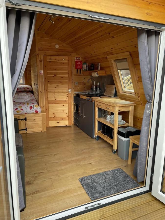 Conifer Cabins Φορτ Γουίλιαμ Εξωτερικό φωτογραφία