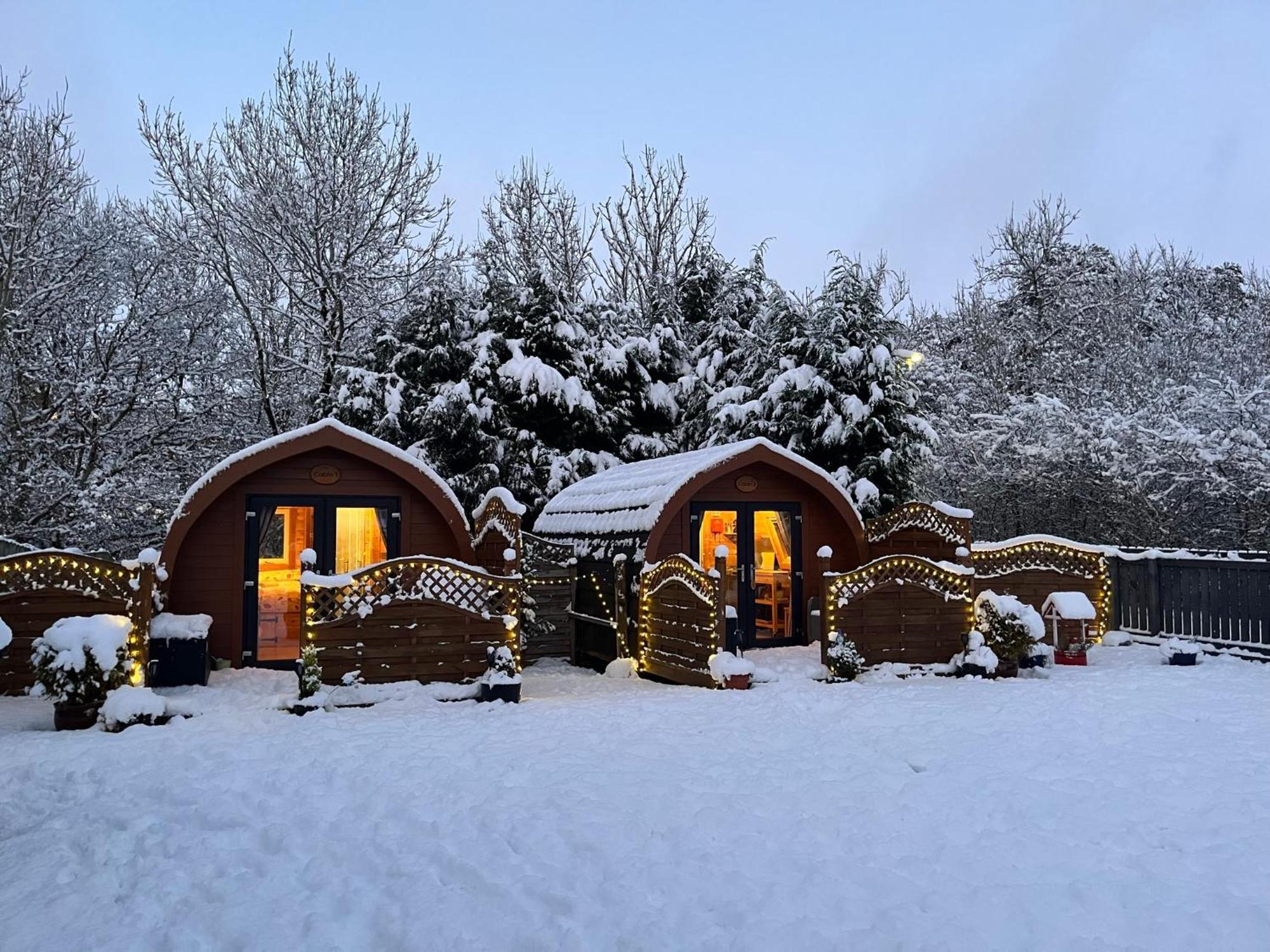 Conifer Cabins Φορτ Γουίλιαμ Εξωτερικό φωτογραφία