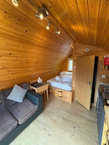 Conifer Cabins Φορτ Γουίλιαμ Εξωτερικό φωτογραφία