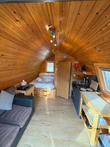 Conifer Cabins Φορτ Γουίλιαμ Εξωτερικό φωτογραφία