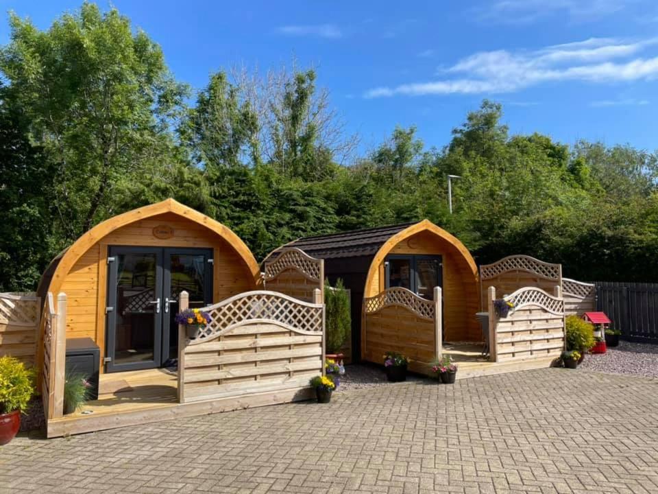 Conifer Cabins Φορτ Γουίλιαμ Εξωτερικό φωτογραφία